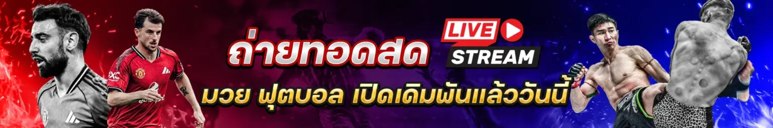 ปก x